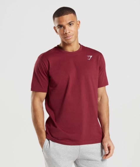 Men's Gymshark Crest T-Shirts Burgundy | CA 3N5167